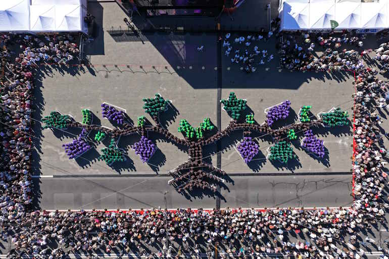 DJI 20261003 2