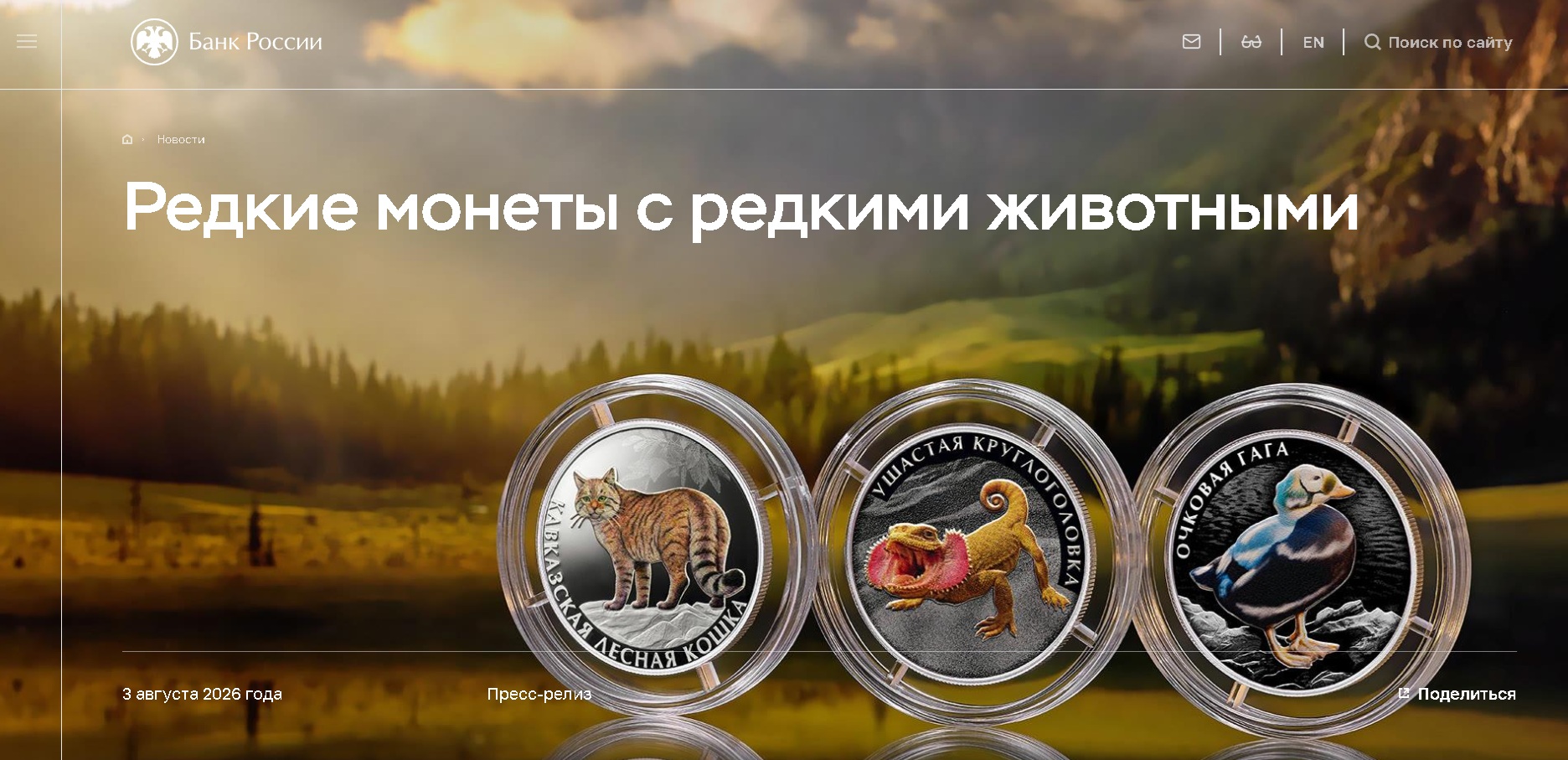 Без имени